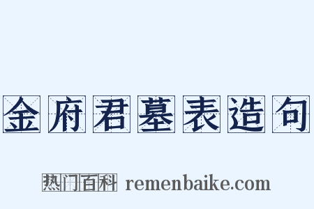金府君墓表造句是什么意思的图片